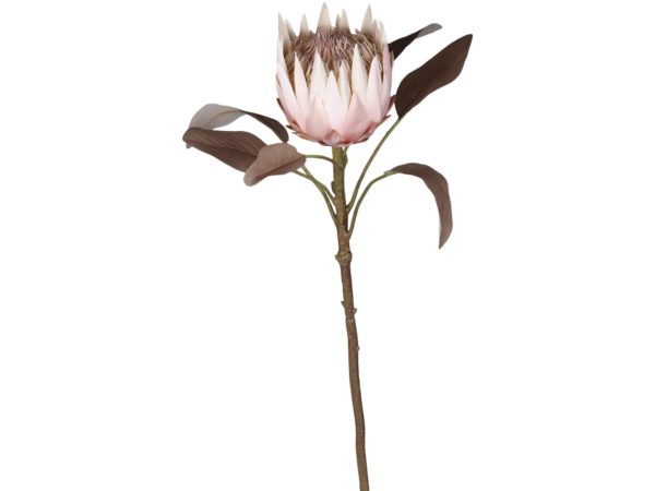 Fleur Kunstblume Protea, H66 cm, altrosa