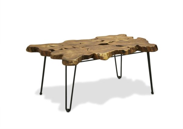 Baumscheiben Couchtisch aus Teak, 100 x 65 x 45 cm