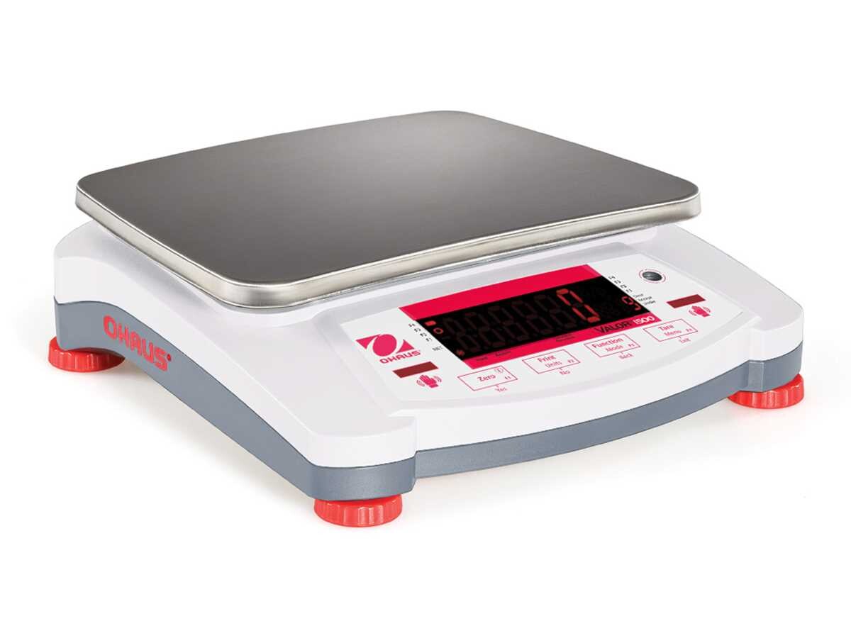 Portable Mehrzweck-Waage, Kapazität 16 kg, Teilung 5 g, Abmessung 240x250x74 mm (BxTxH)