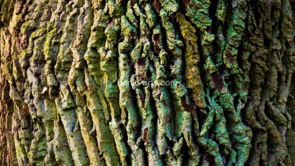 Triptychon 1070361 – Bild 2