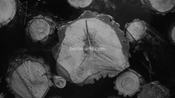 Triptychon P1020180 – Bild 2