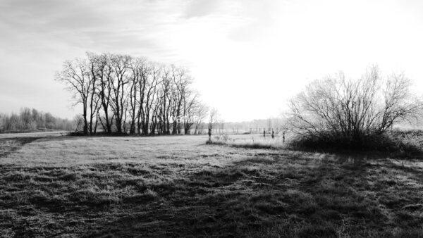 Triptychon P1060454 – Bild 2