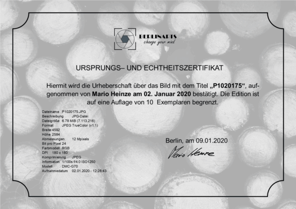 Triptychon P1020175 – Bild 3